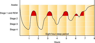 睡眠時間は量より質？効果的に疲労回復する方法